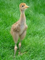 White Red Blue on 9th May 2012 White Red Blue on 9th May 2012